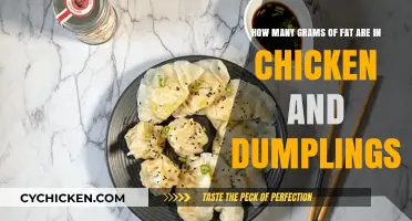 Chicken and Dumplings: How Much Fat?
