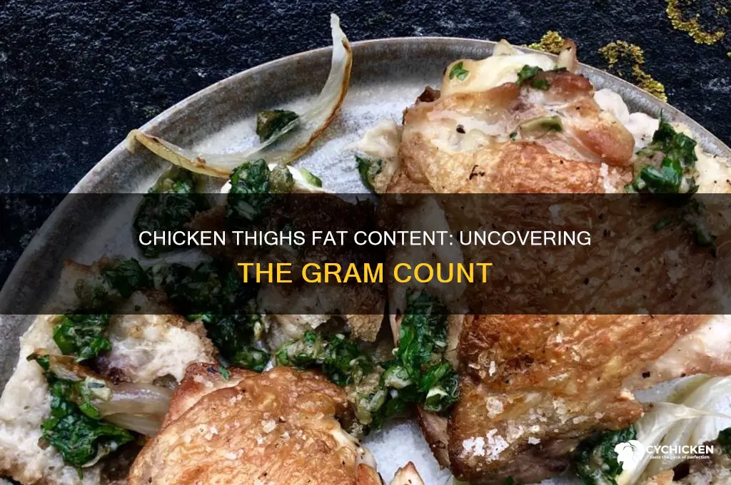 how many grams of fat are in chicken thighs