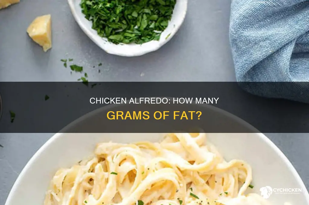 how many grams of fat in chicken alfredo