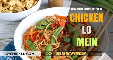 Lo Mein Chicken: How Much Fat?