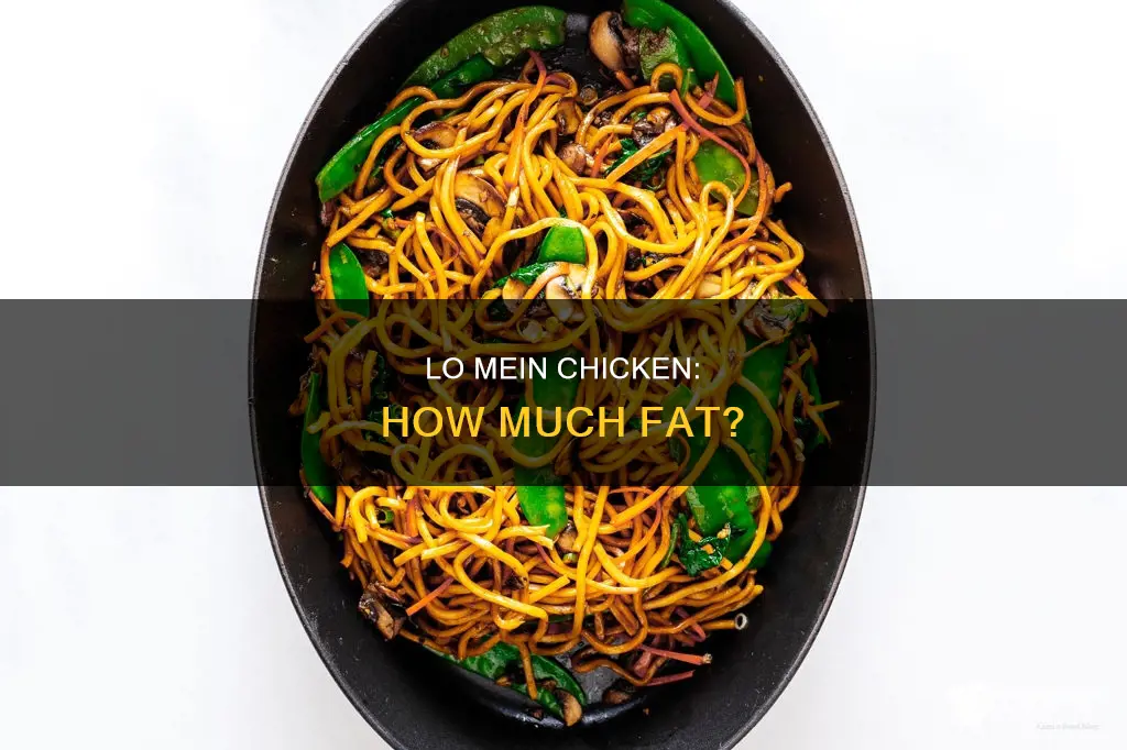 how many grams of fat in chicken lo mein