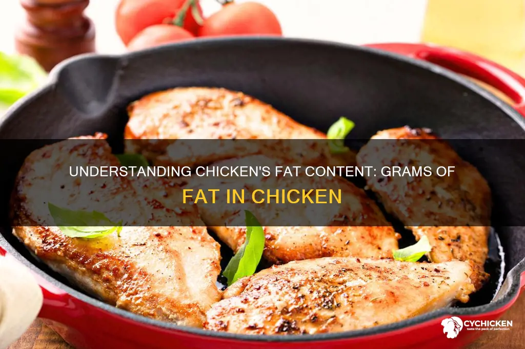 how many grams of fat in chicken