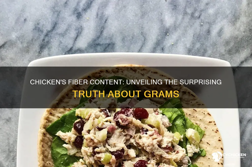 how many grams of fiber in chicken