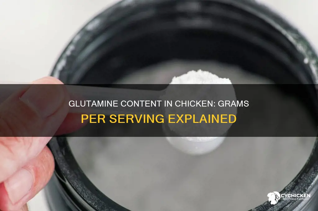 how many grams of glutamine in chicken