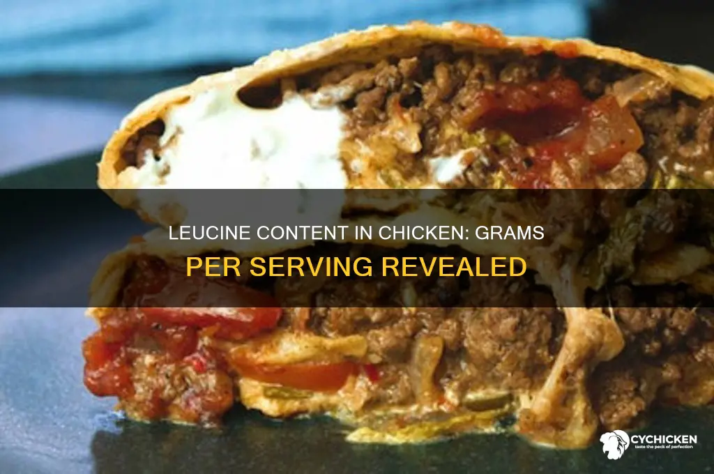 how many grams of leucine in chicken