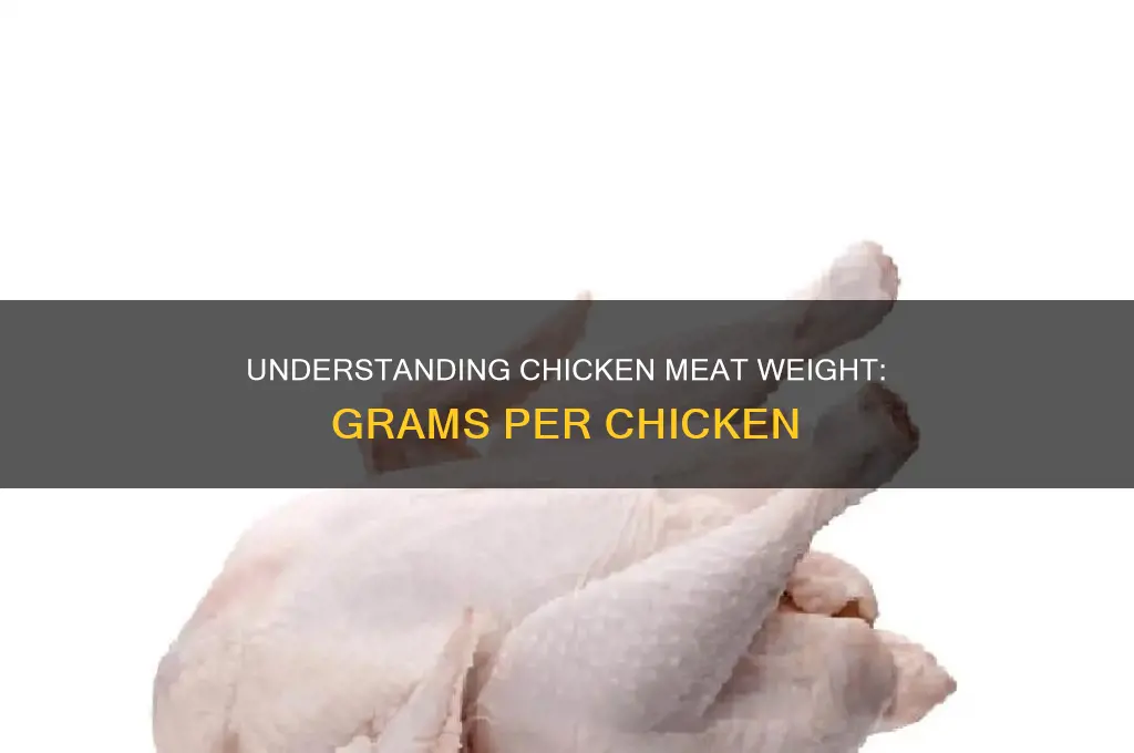 how many grams of meat on a chicken