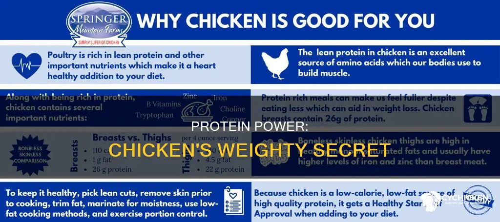 how many grams of protein are in 350g of chicken