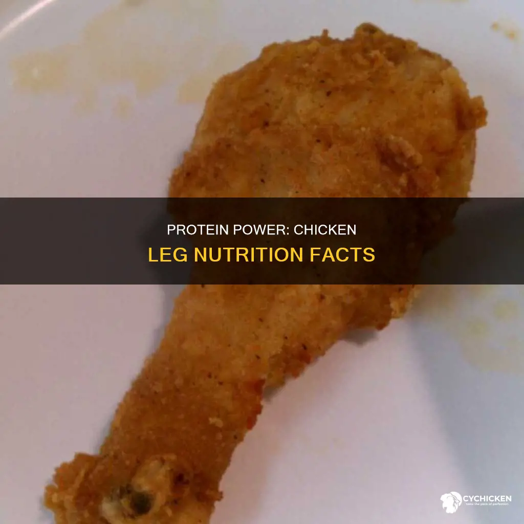 how many grams of protein are in a chicken leg