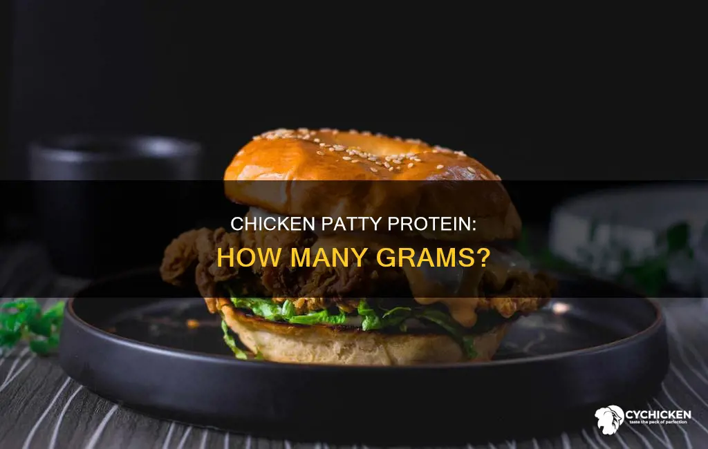 how many grams of protein are in a chicken patty