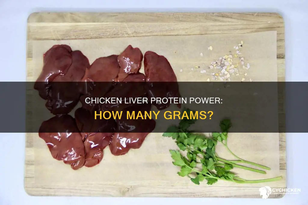 how many grams of protein does chicken liver have