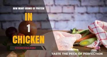 Protein Power: Chicken's Surprising Gram Count