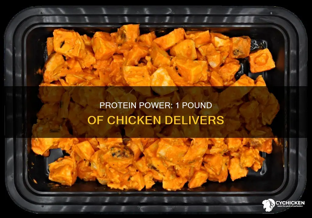 how many grams of protein in 1 lb chicken
