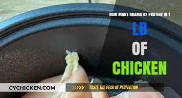 Protein Power: Chicken's Weighty Secret