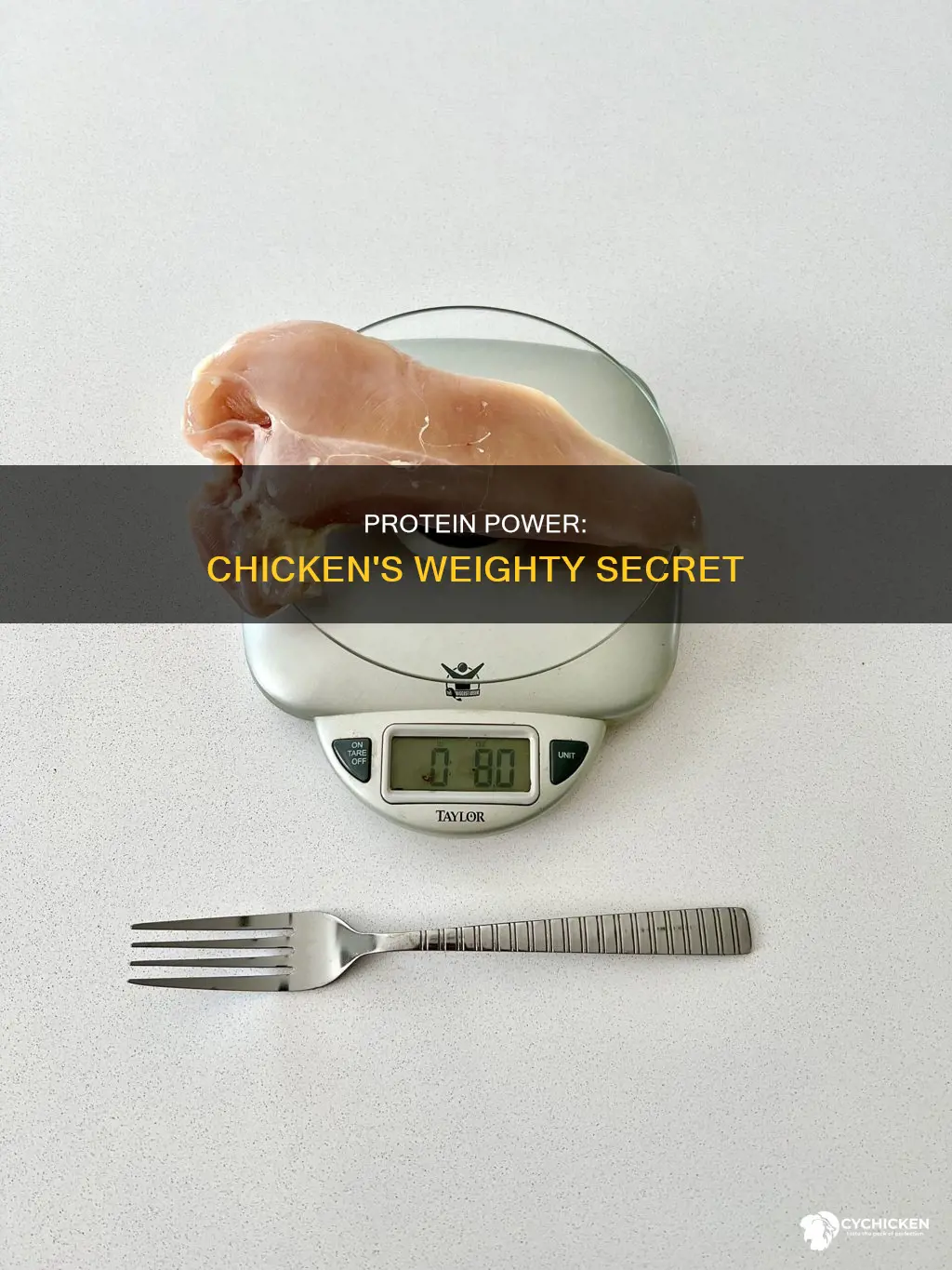 how many grams of protein in 1 lb of chicken