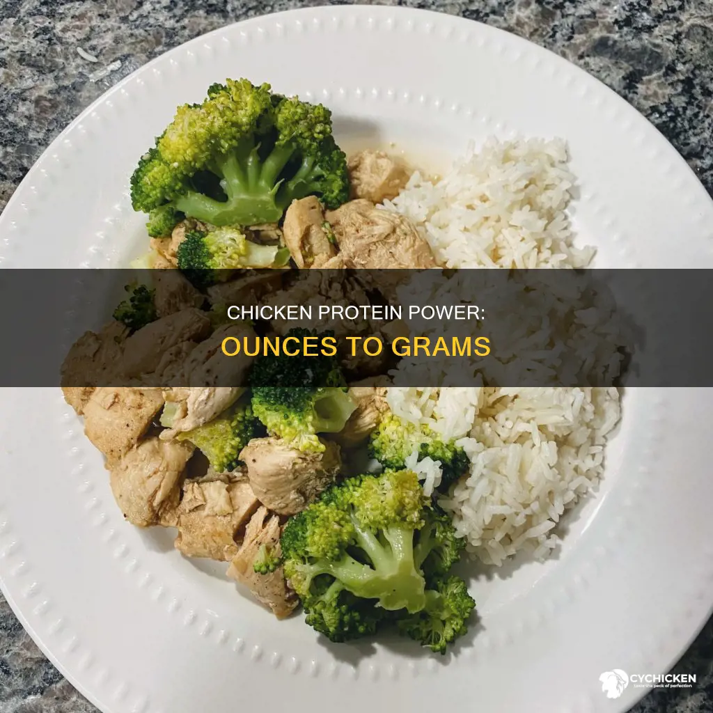 how many grams of protein in 1 oz chicken