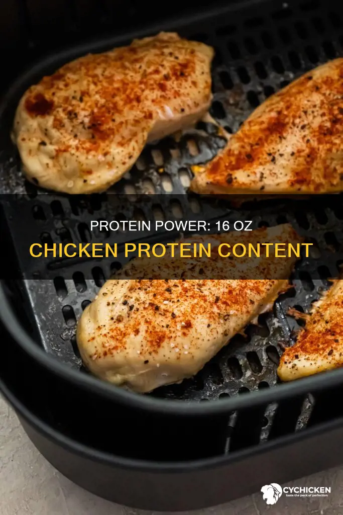 how many grams of protein in 16 oz of chicken