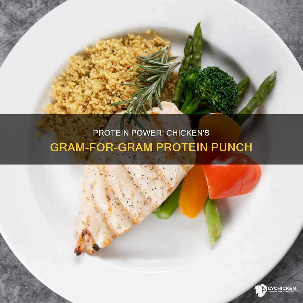 how many grams of protein in 1gram of chicken