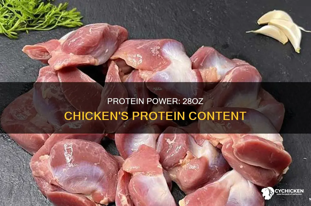 how many grams of protein in 28oz chicken