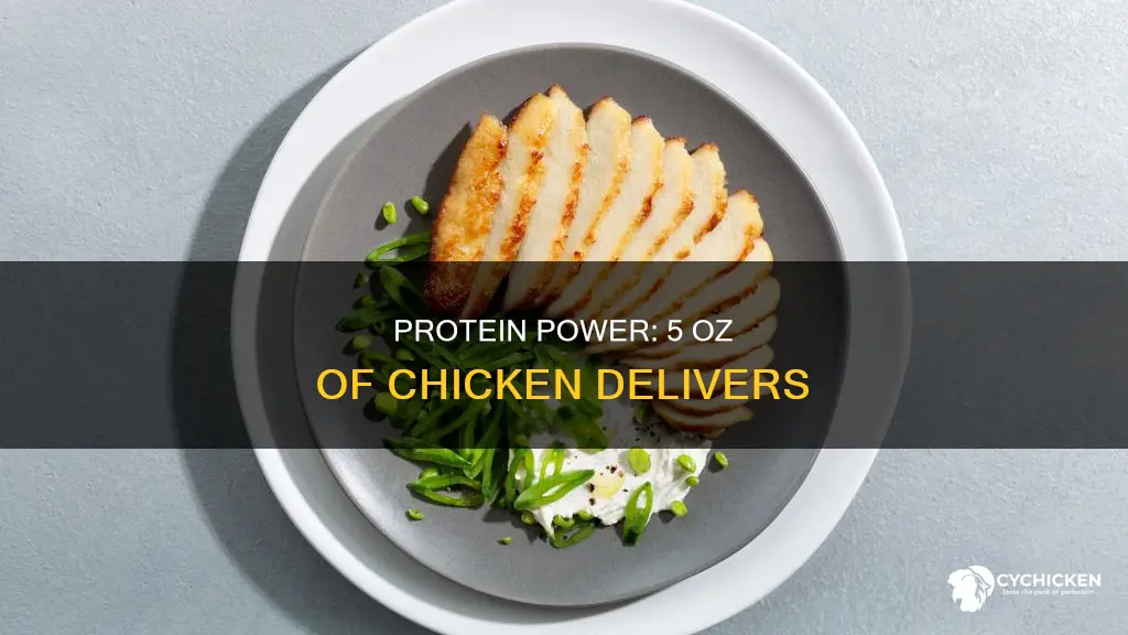 how many grams of protein in 5 oz of chicken