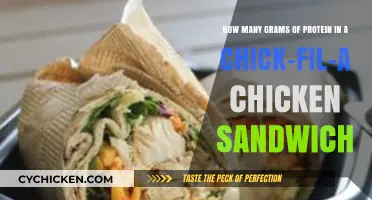 Chick-fil-A Chicken Sandwich Protein Content: Grams Revealed