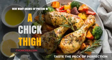 Protein in Chicken Thighs: Grams and Nutritional Breakdown Revealed