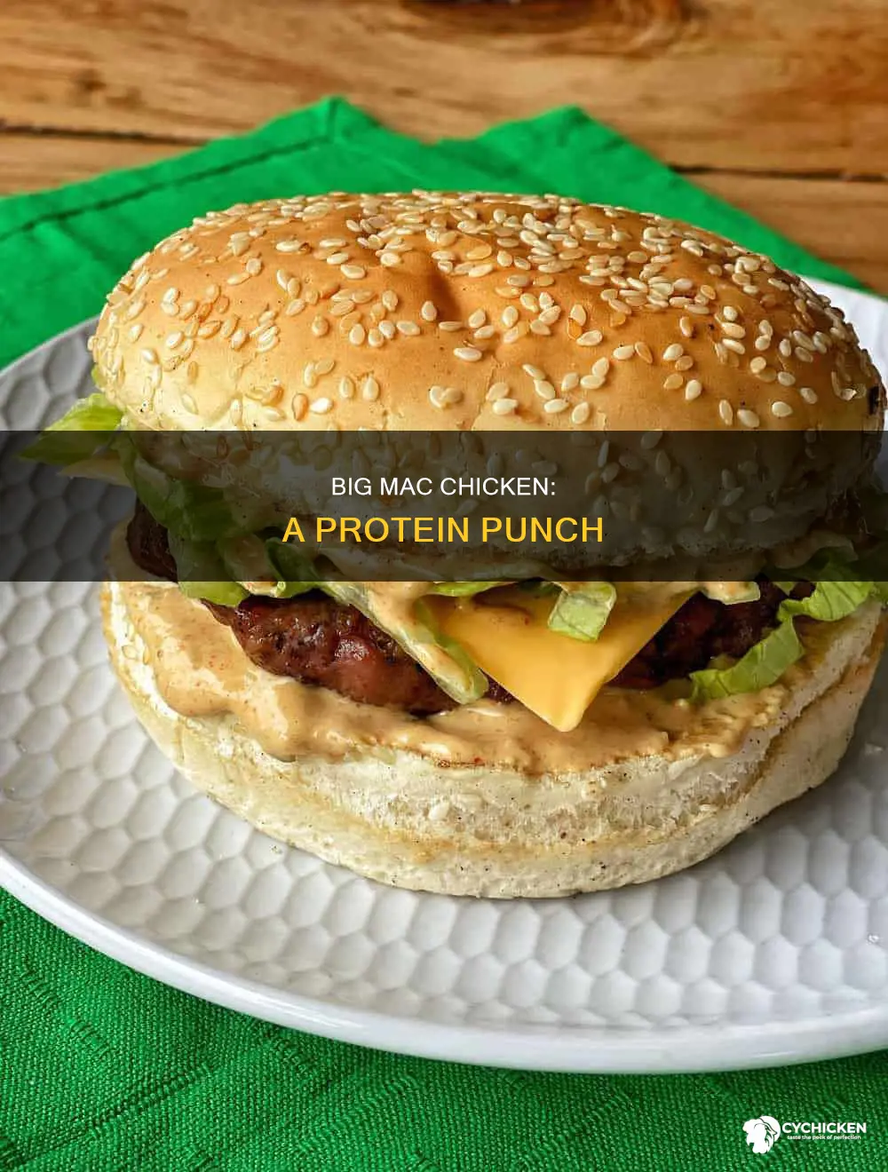 how many grams of protein in a chicken big mac