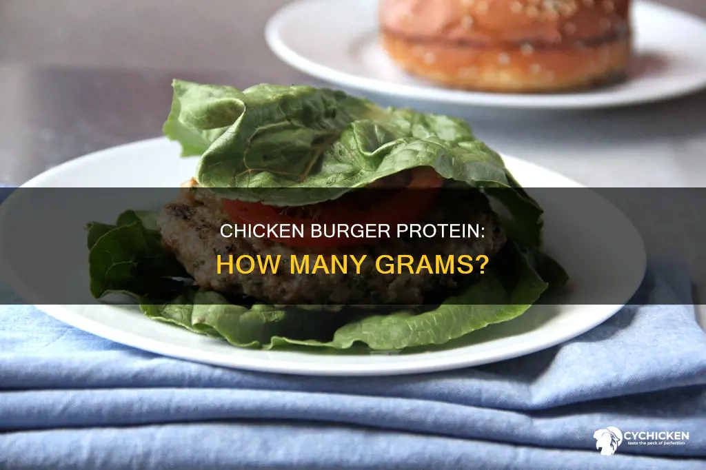 how many grams of protein in a chicken burger