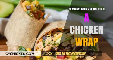 Chicken Wrap Protein Content: How Much in Grams?