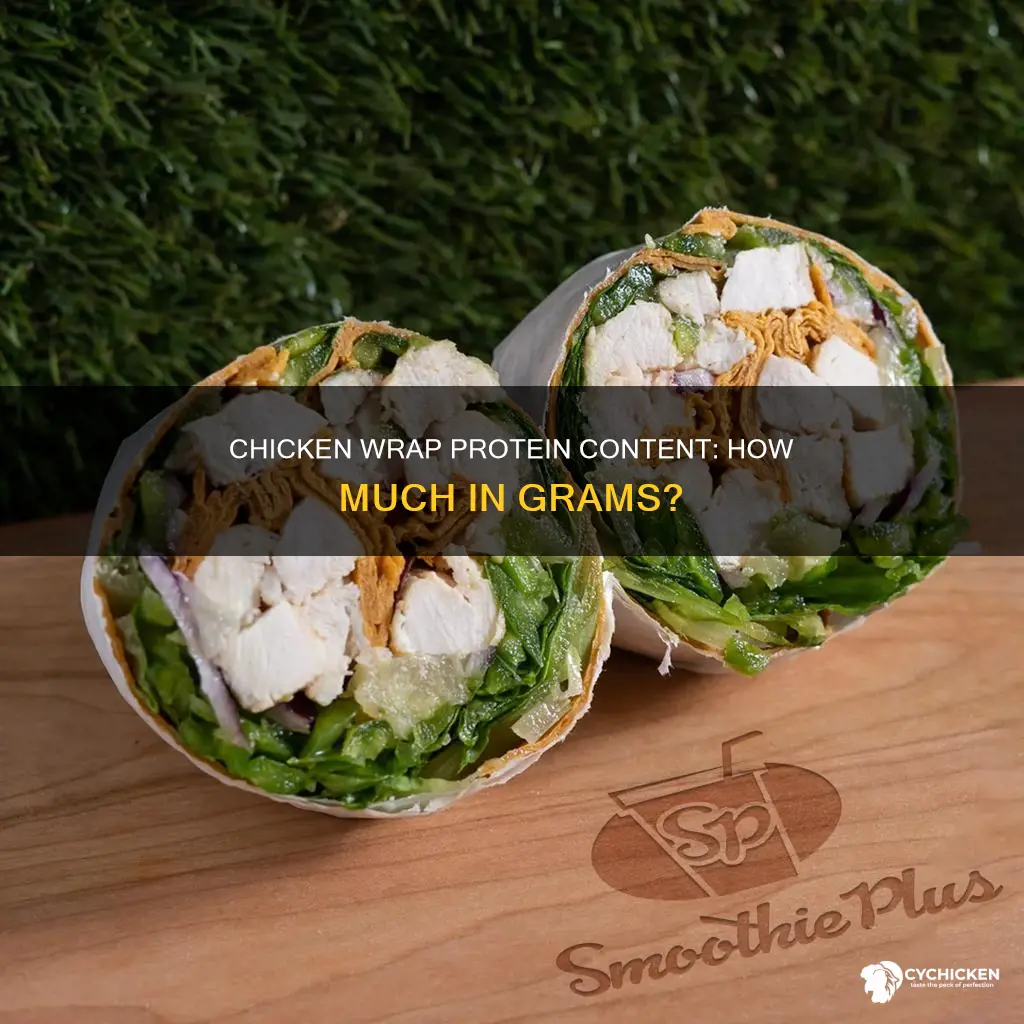 how many grams of protein in a chicken wrap