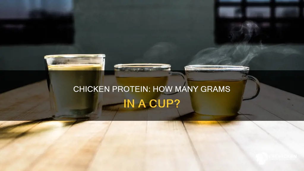 how many grams of protein in a cup of chicken