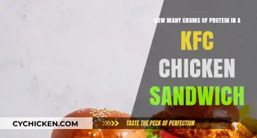 KFC Chicken Sandwich Protein Content: A Nutritional Breakdown