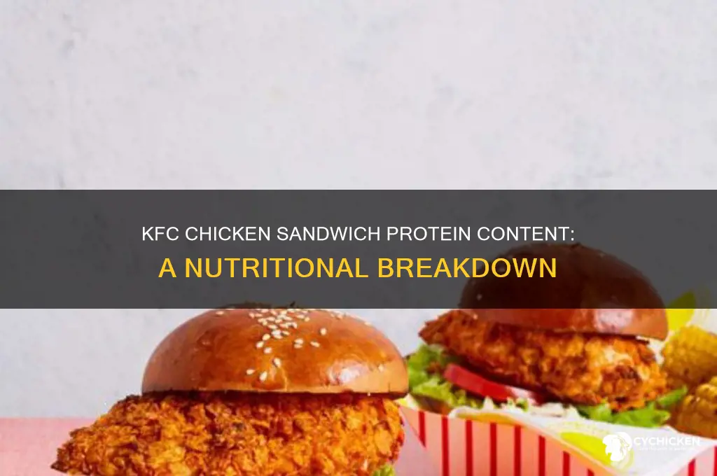 how many grams of protein in a kfc chicken sandwich