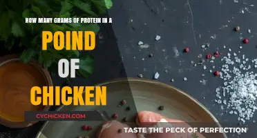 Chicken Protein Content: How Many Grams in a Pound?