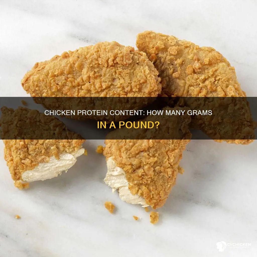 how many grams of protein in a poind of chicken