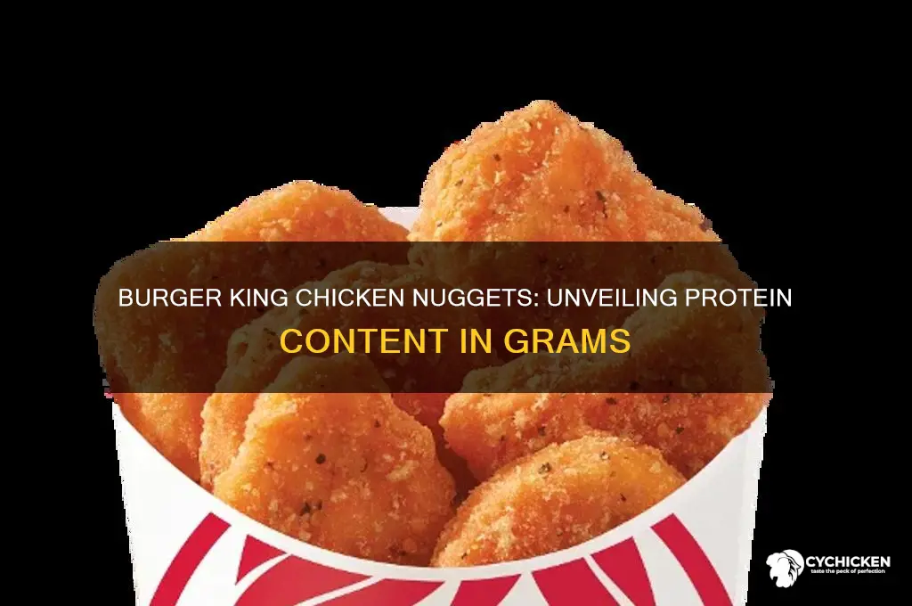 how many grams of protein in burger king chicken nuggets
