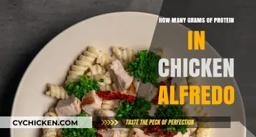 Chicken Alfredo: A Protein-Rich Comfort Food
