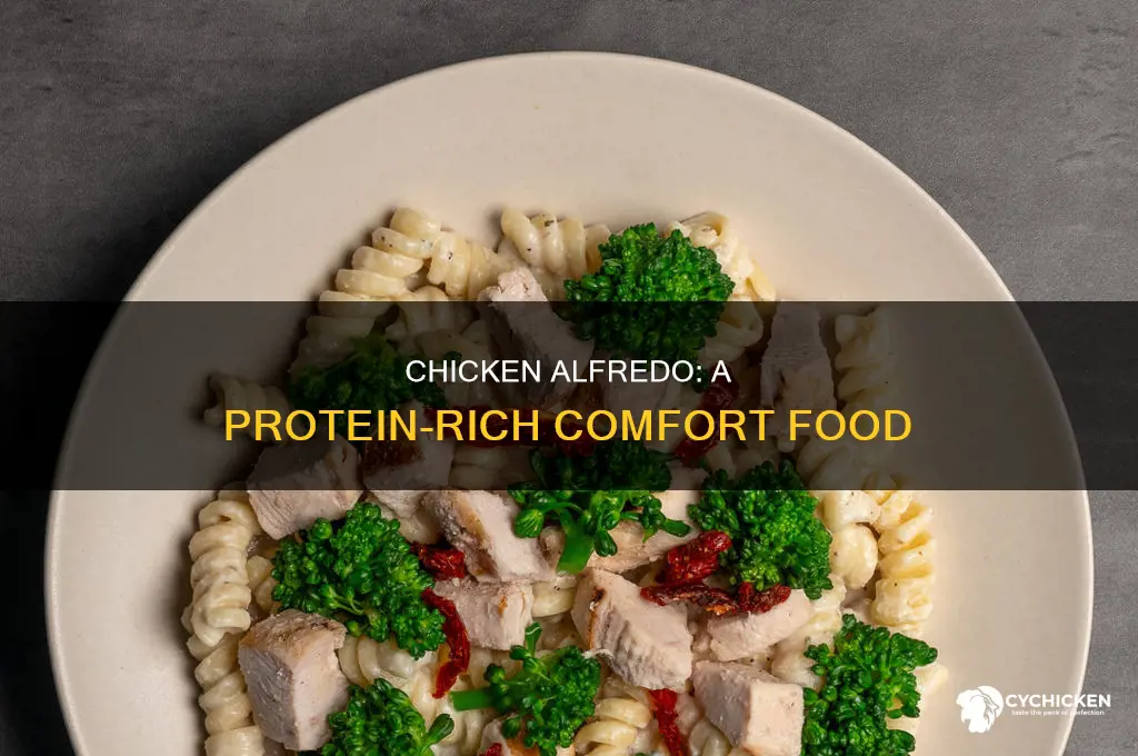 how many grams of protein in chicken alfredo