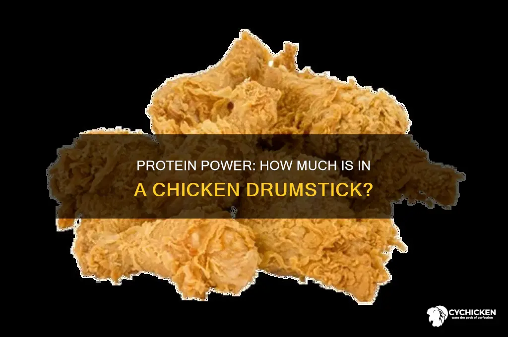 how many grams of protein in chicken drumstick