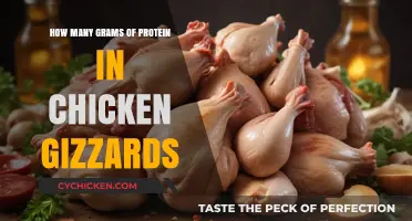 Protein-Rich Chicken Gizzards: How Much Protein?
