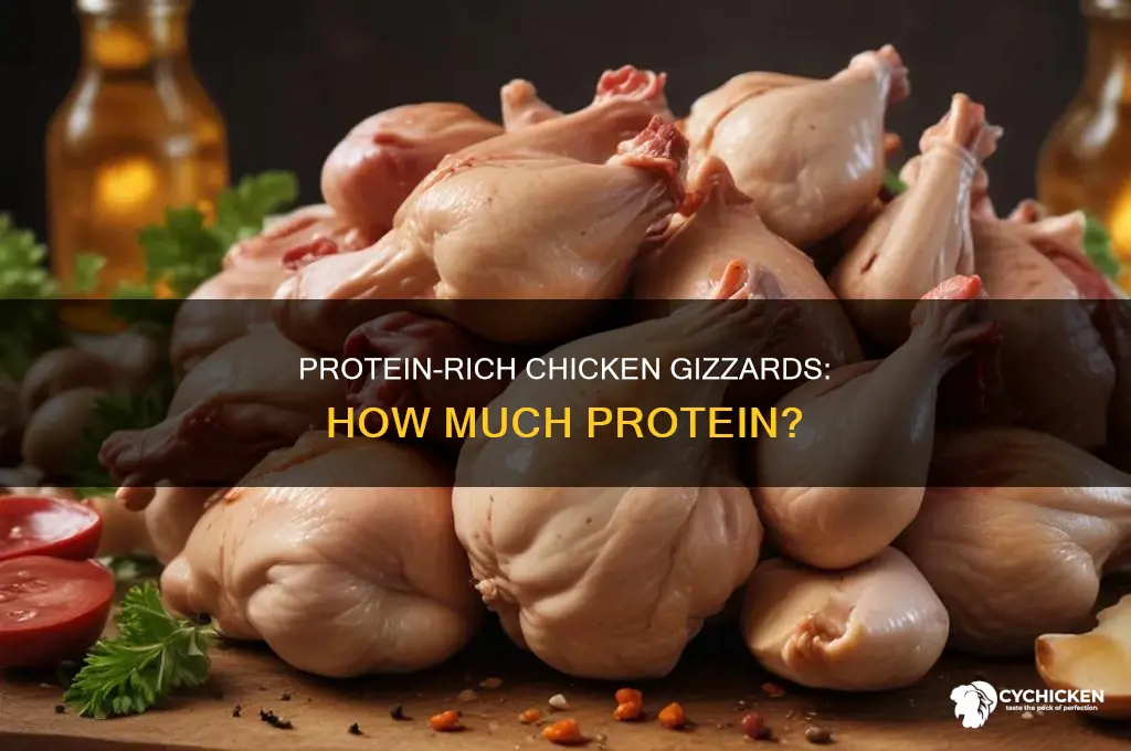 how many grams of protein in chicken gizzards