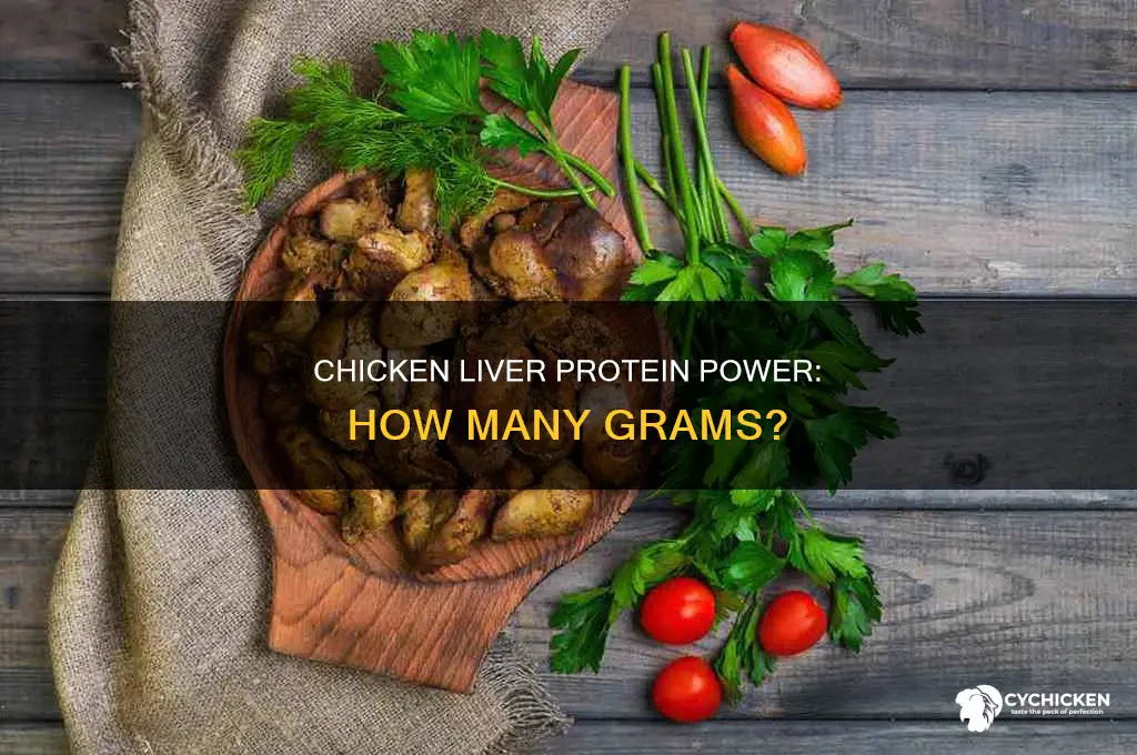 how many grams of protein in chicken liver