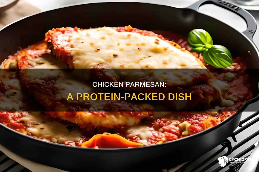 how many grams of protein in chicken parmesan