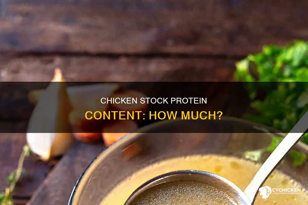 how many grams of protein in chicken stock