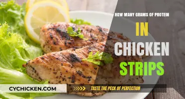 Chicken Strips: Protein-Rich Snacking