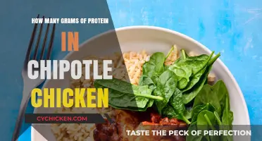 Chipotle Chicken Protein Punch: How Many Grams?