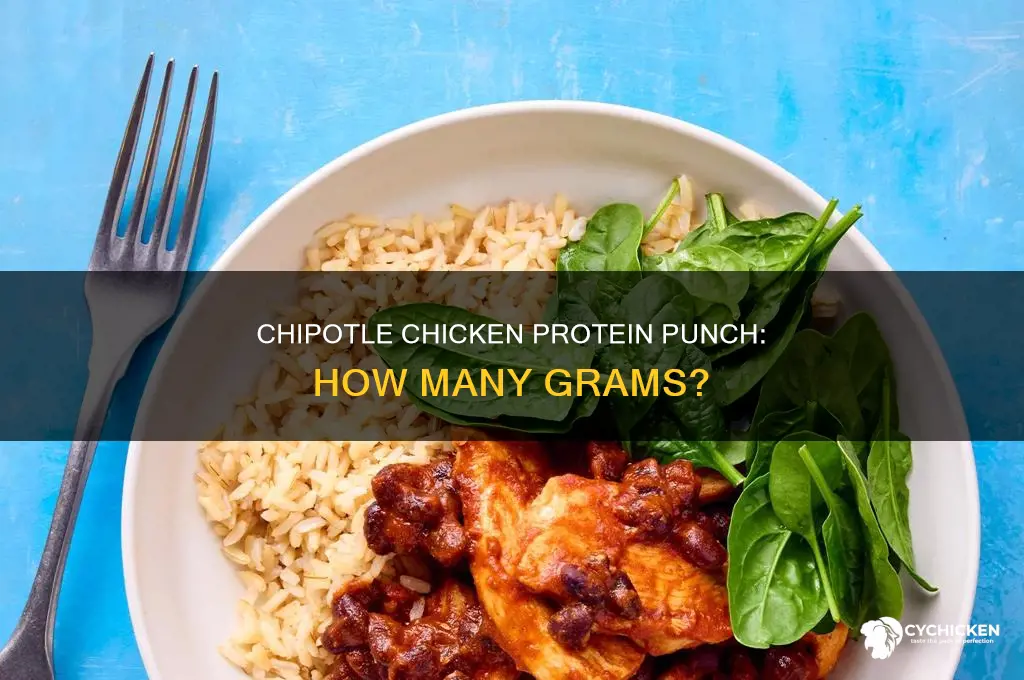 how many grams of protein in chipotle chicken