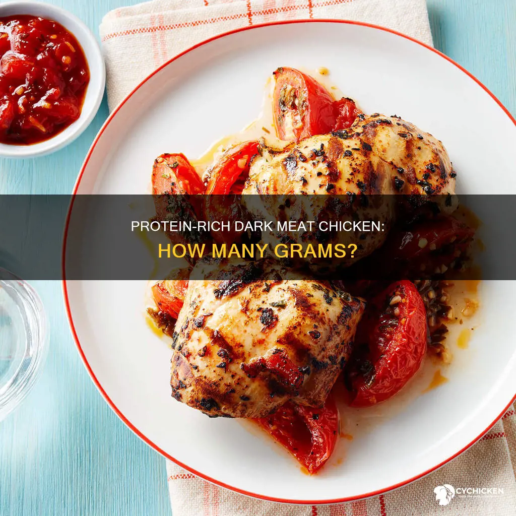 how many grams of protein in dark meat chicken