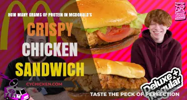 McDonald's Crispy Chicken Sandwich Protein Content: A Nutritional Breakdown