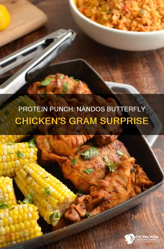 how many grams of protein in nandos butterfly chicken