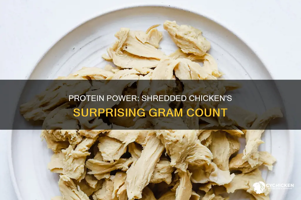 how many grams of protein in shredded chicken